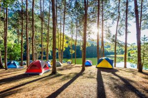 tentes-camping-sous-pins-lumiere-du-soleil-au-lac-pang-ung-mae-hong-son-thailande