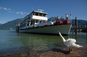 swan-rivage-bateau-baie